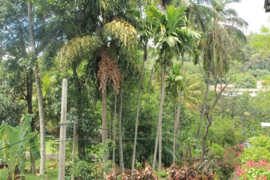 Lake Round Residence Kandy Exteriör bild